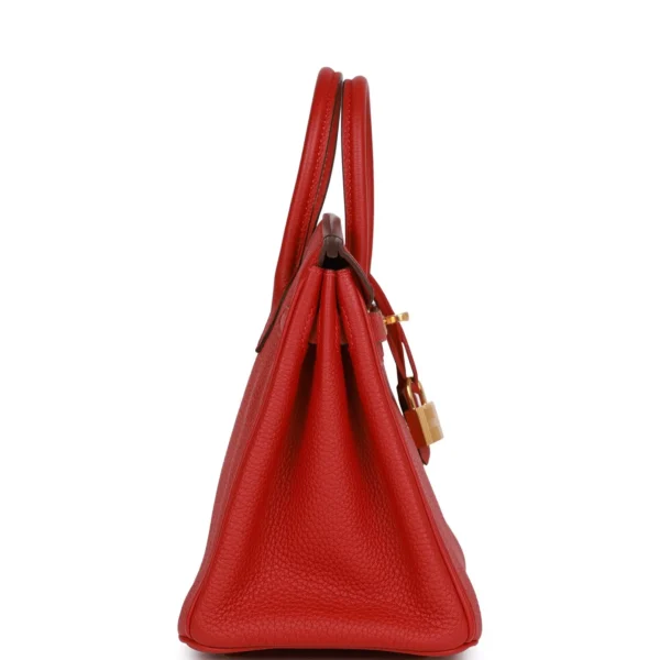 Hermès Birkin 25 Rouge Vif Togo Gold Hardware