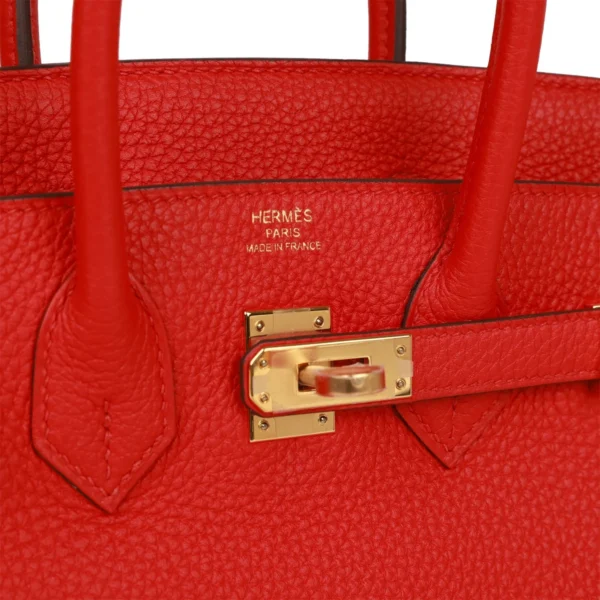 Hermès Birkin 25 Rouge de Coeur Togo Gold Hardware