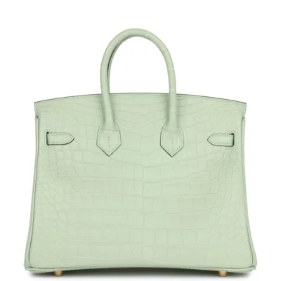 Hermès Birkin 25 Vert D'Eau Matte Alligator Gold Hardware