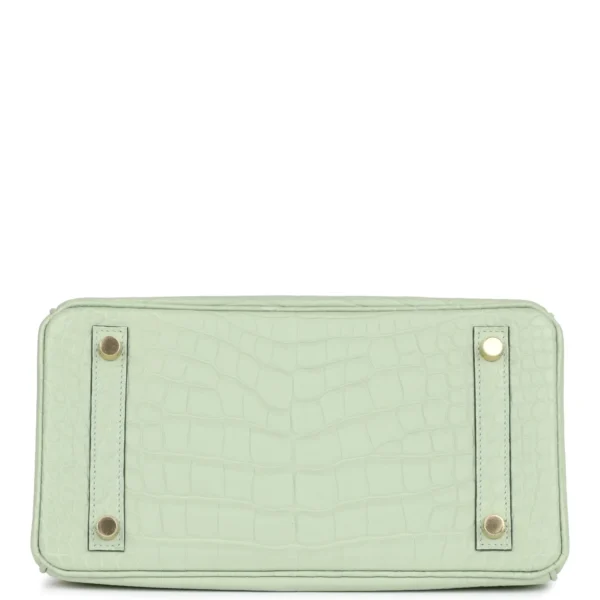 Hermès Birkin 25 Vert D'Eau Matte Alligator Gold Hardware