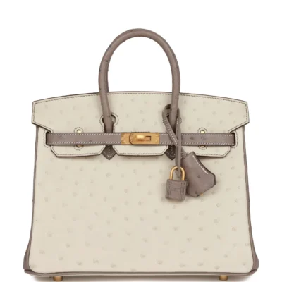 Hermès Special Order (HSS) Birkin 25 Beton and Gris Asphalte Ostrich Brushed Gold Hardware