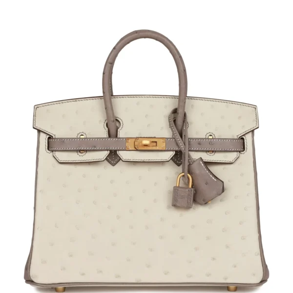 Hermès Special Order (HSS) Birkin 25 Beton and Gris Asphalte Ostrich Brushed Gold Hardware