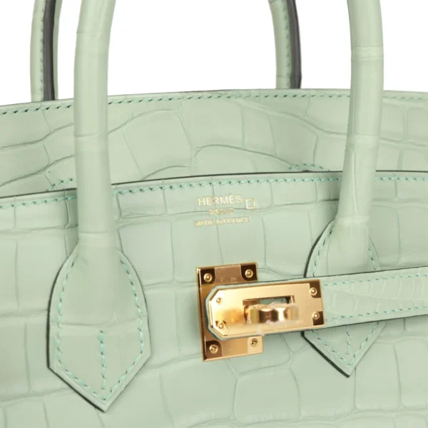 Hermès Birkin 25 Vert D'Eau Matte Alligator Gold Hardware