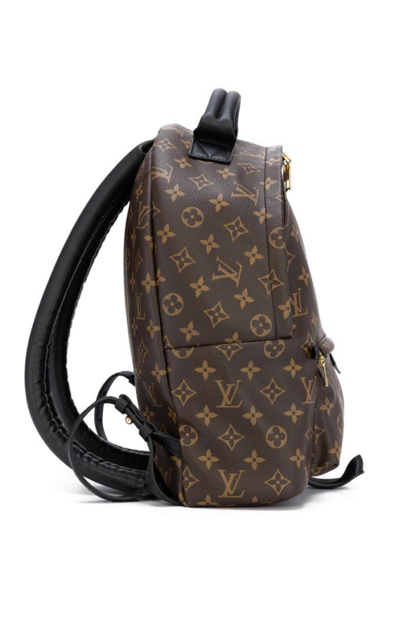 Louis Vuitton Palm Springs MM M41561