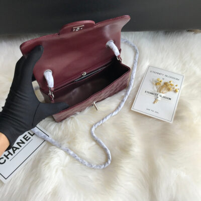 20200107_i1578375420_2623_7_jpg CC MINI 20 BAG IN RED BROWN CALFSKIN GOLD HARDWARE