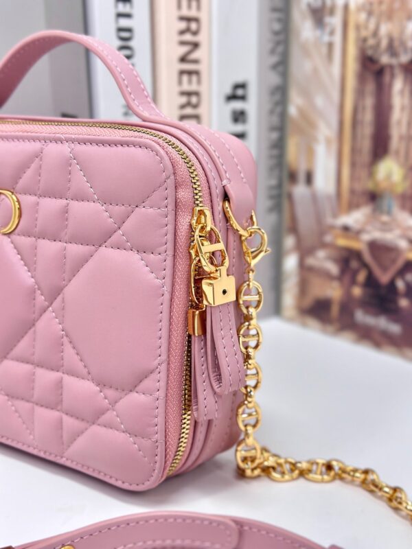 CARO BOX 19 IN LIGHT PINK CALFSKIN