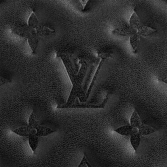 Louis Vuitton Coussin PM