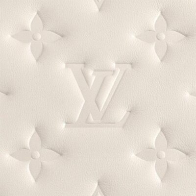 Louis Vuitton Coussin PM