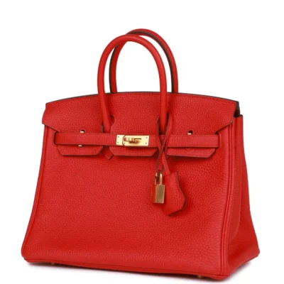 Hermès Birkin 25 Rouge de Coeur Togo Gold Hardware