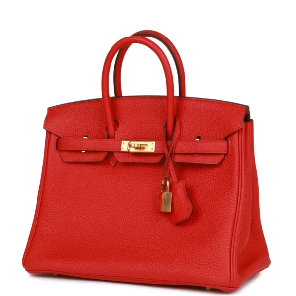 Hermès Birkin 25 Rouge de Coeur Togo Gold Hardware