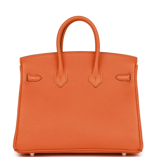 32598e8c0b7bdf0d4d2037ccd865c14b Hermès Birkin 25 Orange Togo Palladium Hardware