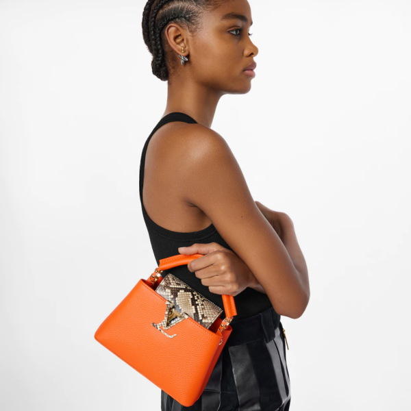 Louis vuitton Capucine MINI