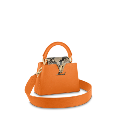 Louis vuitton Capucine MINI