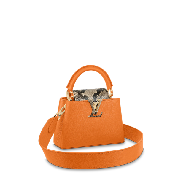 Louis vuitton Capucine MINI
