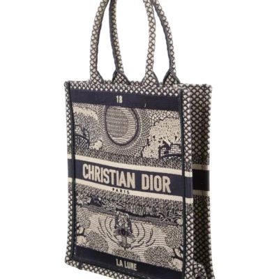 475439996aaaf38a3b412fe23e8fc70e Christian Dior mini Lady Dior bag