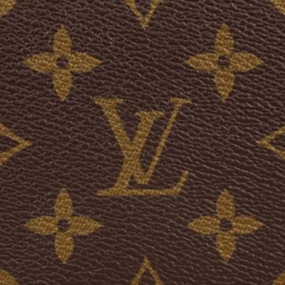 Louis Vuitton Speedy 25 M41109