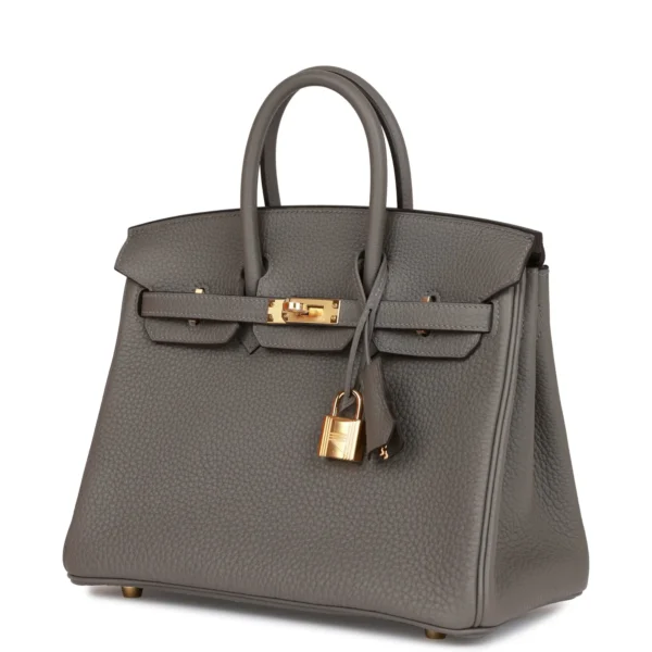 4e0deac626efd11f617582a6fe581c4f Hermès Birkin 25 Gris Meyer Togo Gold Hardware