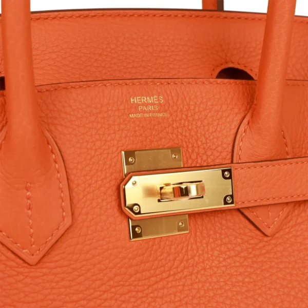 Hermès Birkin 30 Orange Clemence Gold Hardware
