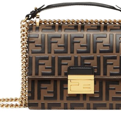 Fendi Kan U bag