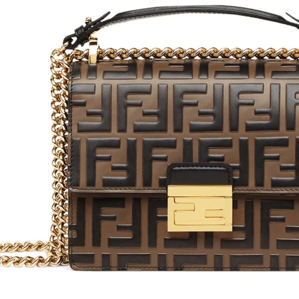 5bb98b59e59f8f1125a04d10f815a6c3 Fendi Kan U bag