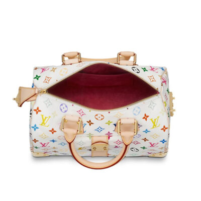 Louis Vuitton Monogram Multicolore Speedy 30