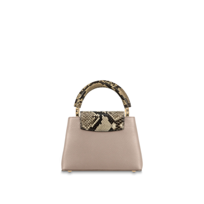 Louis vuitton Capucine MINI