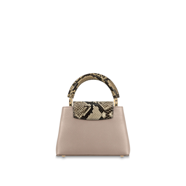 Louis vuitton Capucine MINI