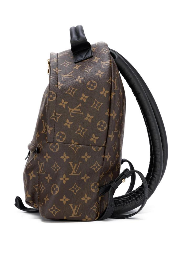 Louis Vuitton Palm Springs MM M41561