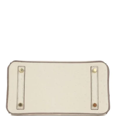 Hermès Special Order (HSS) Birkin 25 Beton and Gris Asphalte Ostrich Brushed Gold Hardware