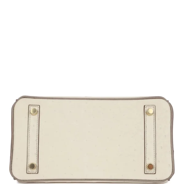 Hermès Special Order (HSS) Birkin 25 Beton and Gris Asphalte Ostrich Brushed Gold Hardware