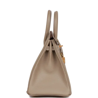 Hermès Special Order (HSS) Birkin 25 Gris Tourterelle Verso Chevre Brushed Gold Hardware