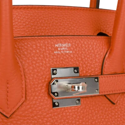 6f55da3bb32f9ecd94480b0ee54701d4 Hermès Birkin 30 Orange Poppy Clemence Palladium Hardware