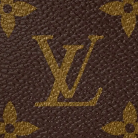 Louis Vuitton Mini Pochette Accessoires M58009