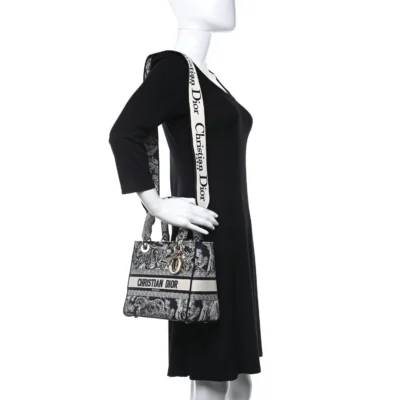 CHRISTIAN DIOR Toile de Jouy Embroidered Medium Lady D-Lite Blue