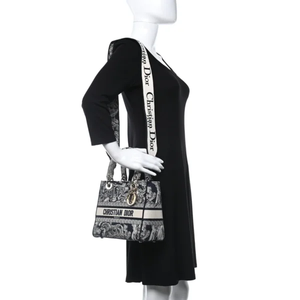 CHRISTIAN DIOR Toile de Jouy Embroidered Medium Lady D-Lite Blue