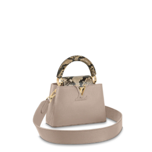 Louis Vuitton Capucine MINI