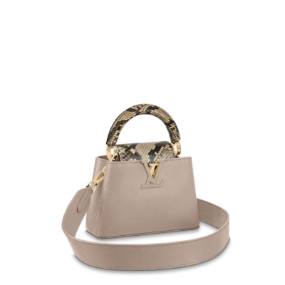 Louis vuitton Capucine MINI