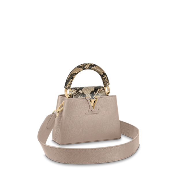 Louis vuitton Capucine MINI