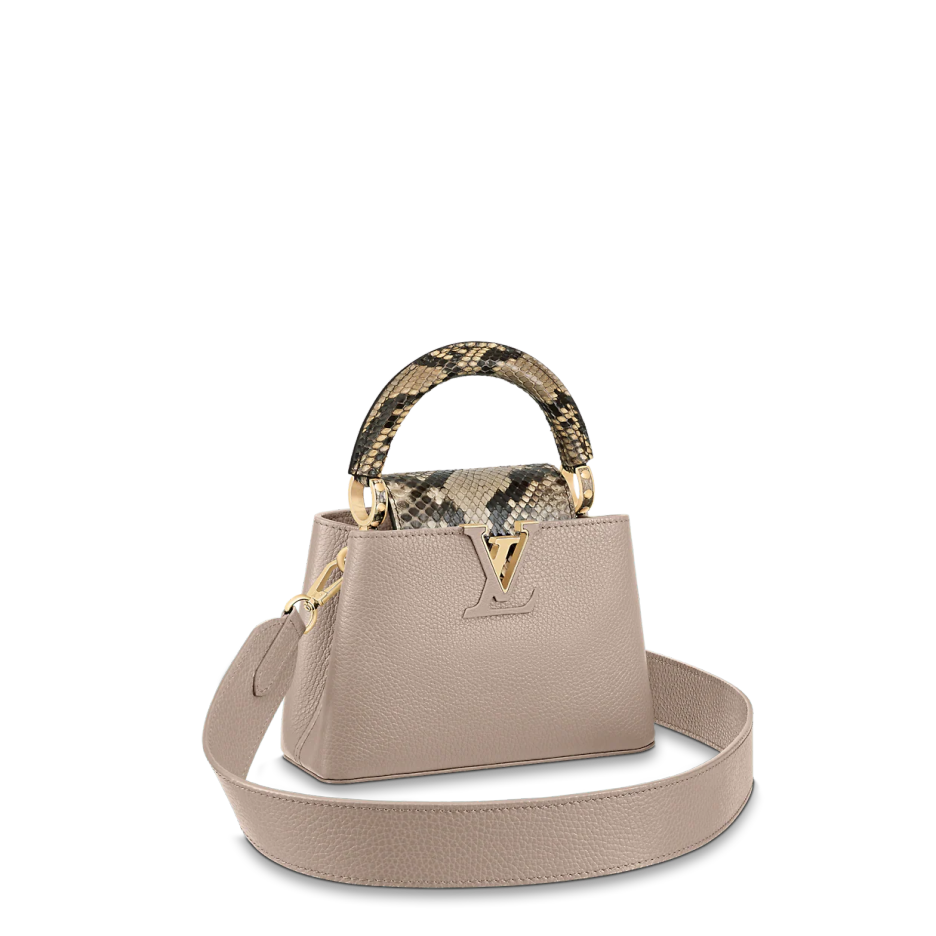 Louis Vuitton Capucine MINI