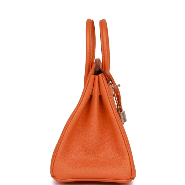 895e482643f0a8ef195cf192d05f1761 Hermès Birkin 25 Orange Togo Palladium Hardware