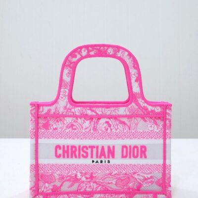Dior Mini Dior Book Tote