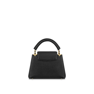 Louis vuitton Capucine MINI