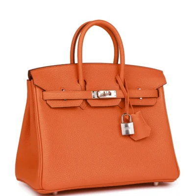 92e8f5e703f558212a85e9afc315faf6 Hermès Birkin 25 Orange Togo Palladium Hardware