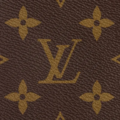 Louis Vuitton M46197 CARRYALL MM