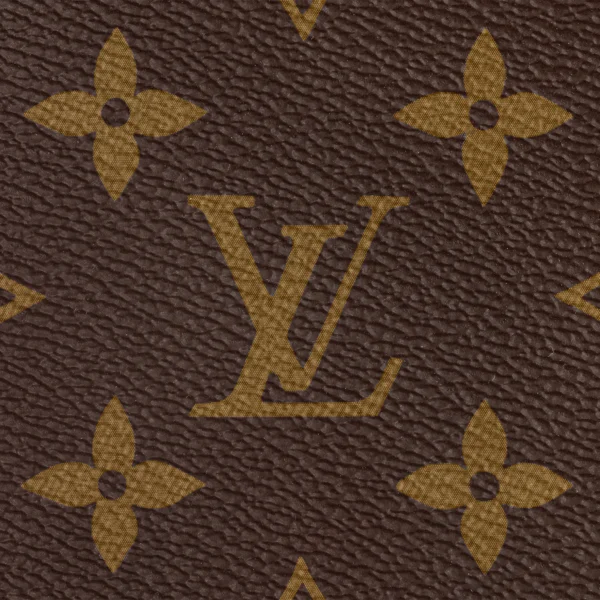 Louis Vuitton M46197 CARRYALL MM
