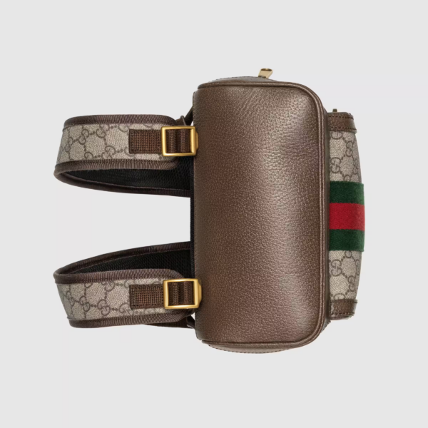 Ophidia GG small backpack