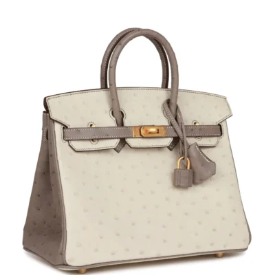 Hermès Special Order (HSS) Birkin 25 Beton and Gris Asphalte Ostrich Brushed Gold Hardware