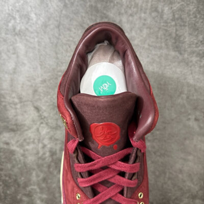 IMG_5427 Jordan 3 Retro PRM Bin23 IO7744-600