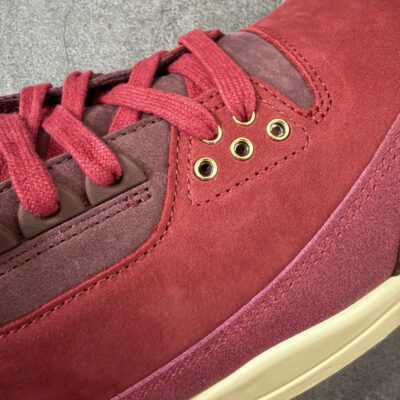 IMG_5433 Jordan 3 Retro PRM Bin23 IO7744-600