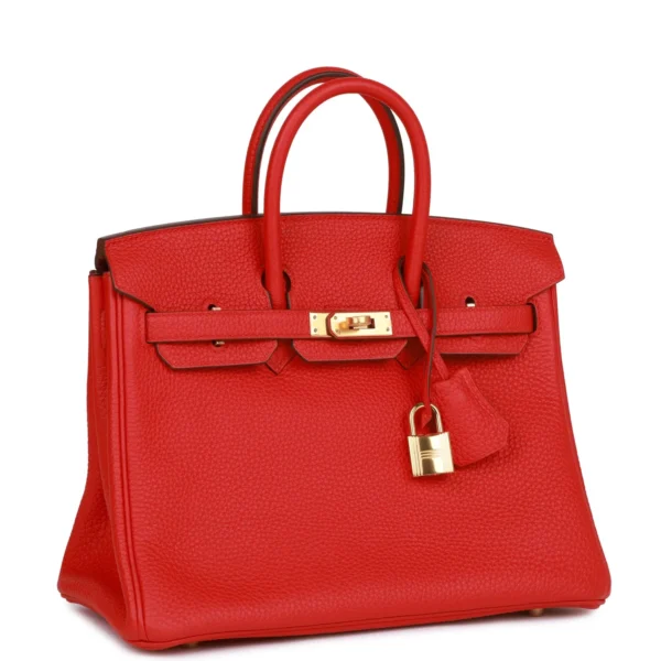 Hermès Birkin 25 Rouge de Coeur Togo Gold Hardware